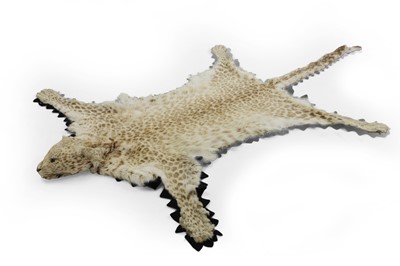 Lot 489A - A leopard skin rug
