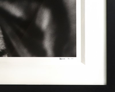 Lot 437 - David Yarrow (b.1956)