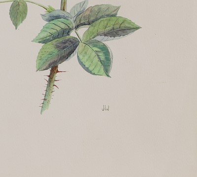 Lot 202 - Joan Warburton (1920-1996)
