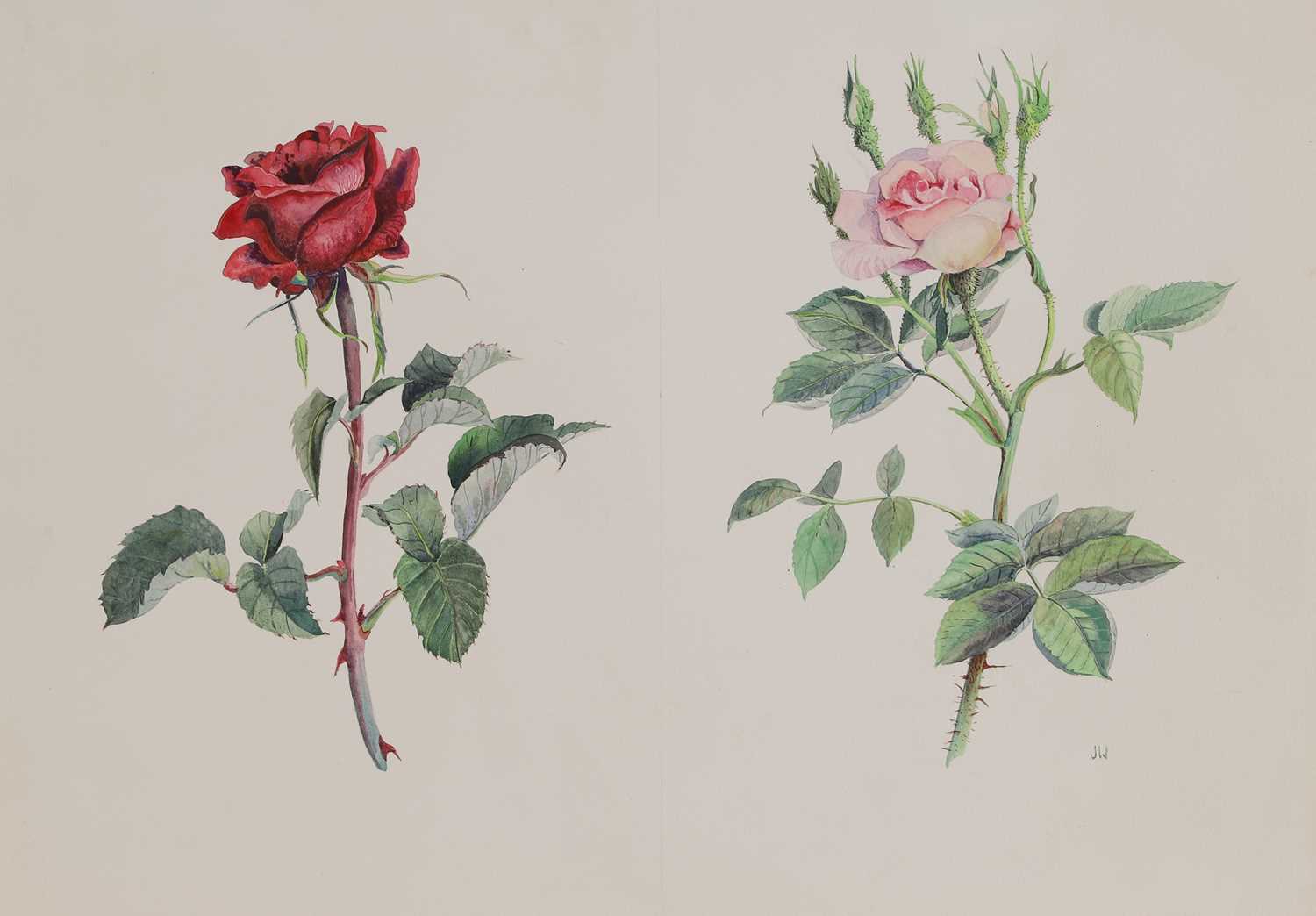Lot 202 - Joan Warburton (1920-1996)