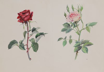 Lot 202 - Joan Warburton (1920-1996)