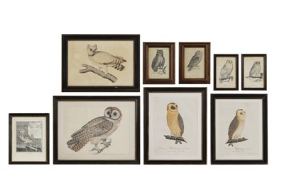 Lot 133 - Nine various owl prints