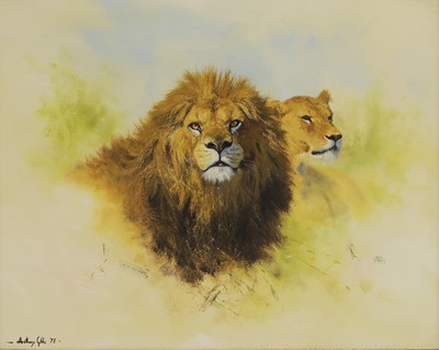 Lot 141 - Anthony Gibbs (b.1951)