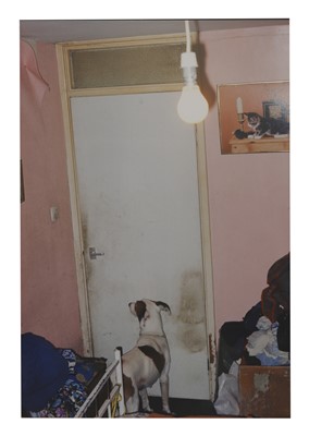 Lot 79 - Richard Billingham (b.1970)