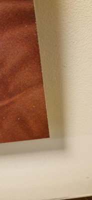 Lot 77 - Richard Billingham (b.1970)