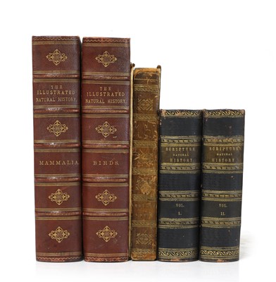 Lot 165 - Bicknell, W. I