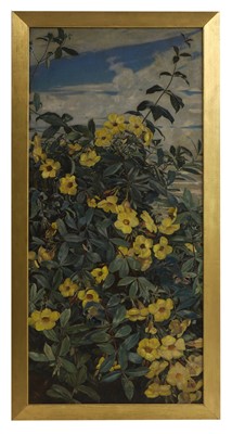 Lot 556 - Winifred Strangman (1874-1955)