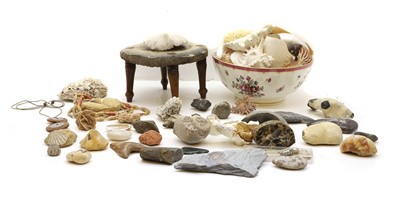 Lot 235 - A collection of shells, fossils and minerals
