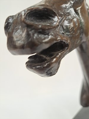 Lot 315 - David Wynne (1926-2014)