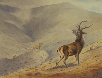 Lot 385 - Harold Frank Wallace (1881-1962)