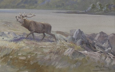Lot 386 - Harold Frank Wallace (1881-1962)