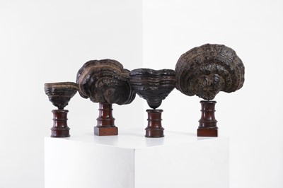 Lot 456 - A group of Victorian petrified fungus specimens