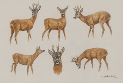 Lot 379 - Brian Rawling (b.1931)