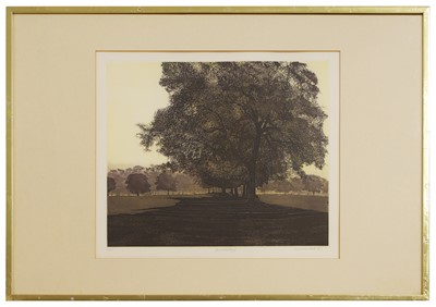 Lot 35 - Phil Greenwood (b.1943)