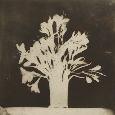 Lot 34 - Norman Ackroyd RA (b.1938)