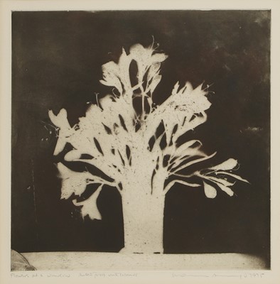 Lot 34 - Norman Ackroyd RA (b.1938)