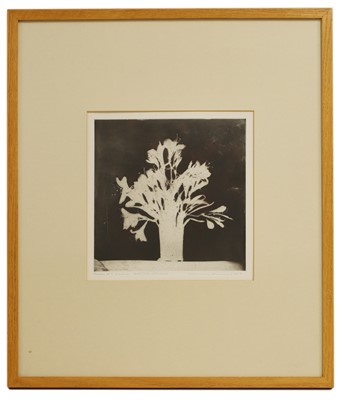 Lot 34 - Norman Ackroyd RA (b.1938)