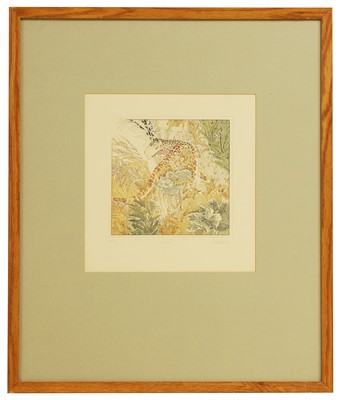 Lot 85 - Anna Pugh (b.1938)