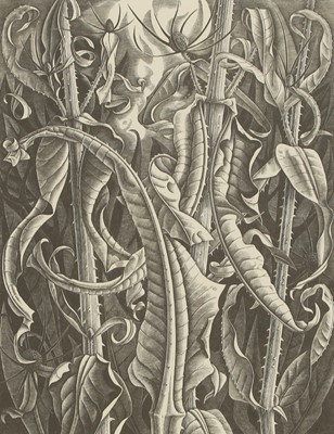 Lot 66 - Monica Poole (1921-2003)