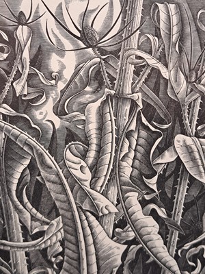 Lot 66 - Monica Poole (1921-2003)