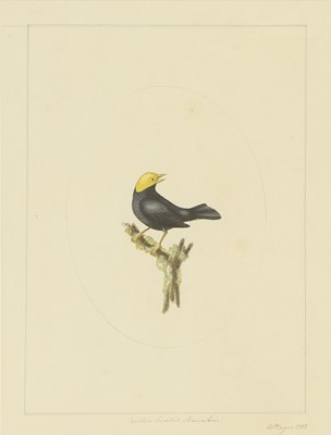 Lot 306 - William Hayes (1729-1799)