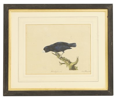 Lot 306 - William Hayes (1729-1799)