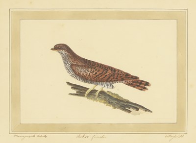 Lot 306 - William Hayes (1729-1799)