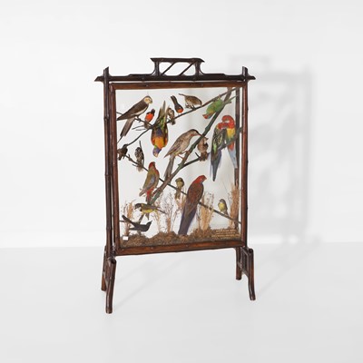 Lot 329 - A fire screen filled with a taxidermy of Australian birds