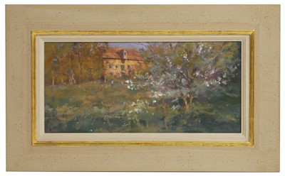 Lot 428 - Jacqueline Williams (b.1962)