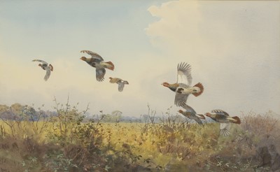 Lot 214 - John Cyril Harrison (British, 1898-1985)