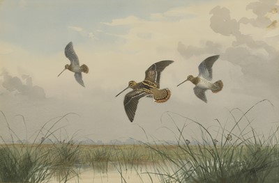 Lot 218 - John Cyril Harrison (British, 1898-1985)