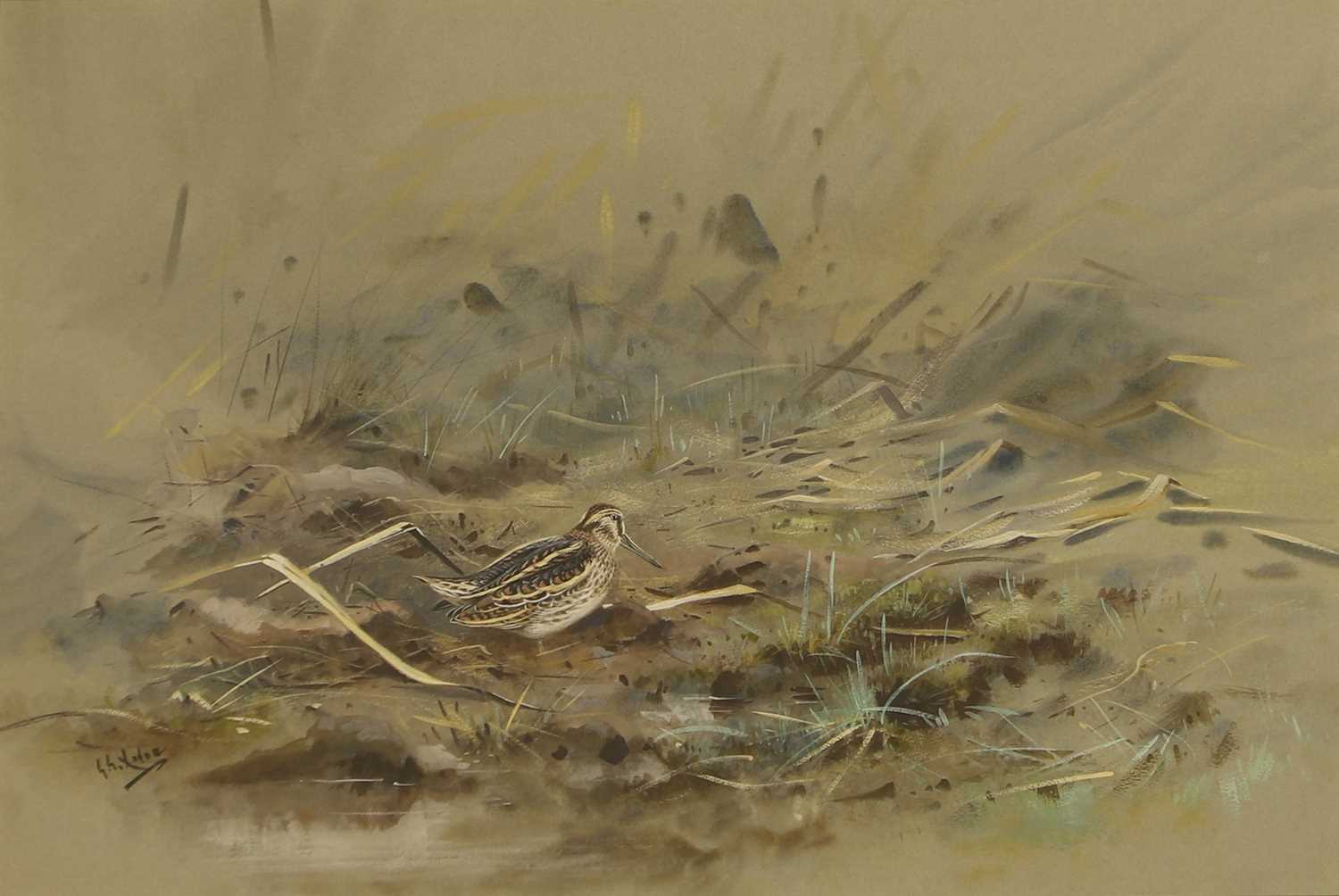Lot 302 - George Edward Lodge (1860-1954)