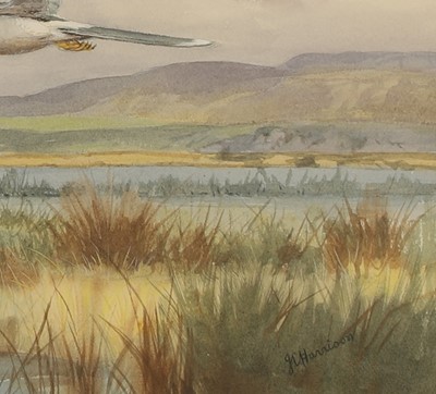 Lot 229 - John Cyril Harrison (British, 1898-1985)