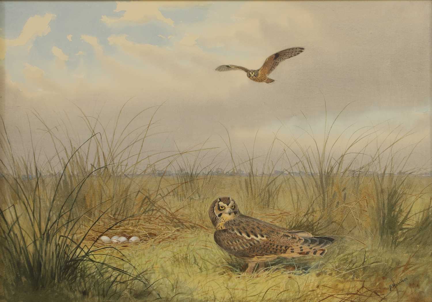 Lot 284 - John Cyril Harrison (1898-1985)
