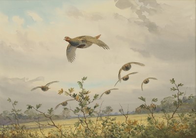 Lot 230 - John Cyril Harrison (British, 1898-1985)