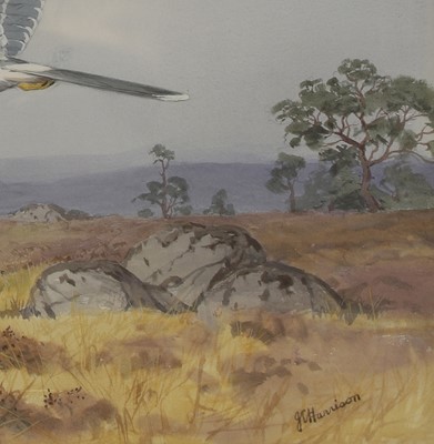 Lot 232 - John Cyril Harrison (British, 1898-1985)