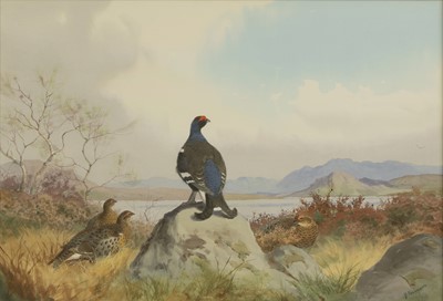 Lot 237 - John Cyril Harrison (British, 1898-1985)