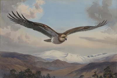 Lot 242 - John Cyril Harrison (British, 1898-1985)