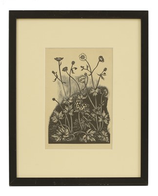 Lot 229 - John Nash RA (1893-1977)