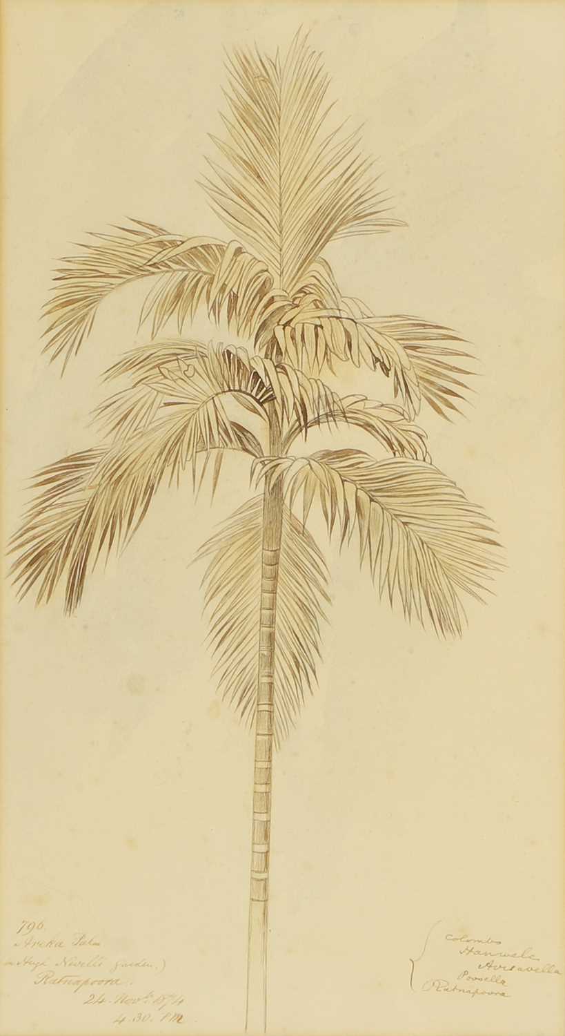 Lot 102 - Edward Lear (British, 1812-1888)