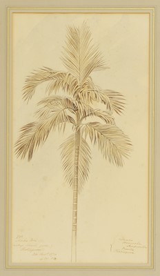 Lot 102 - Edward Lear (British, 1812-1888)