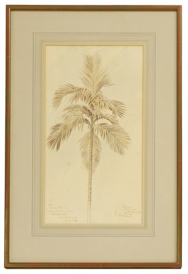Lot 102 - Edward Lear (British, 1812-1888)