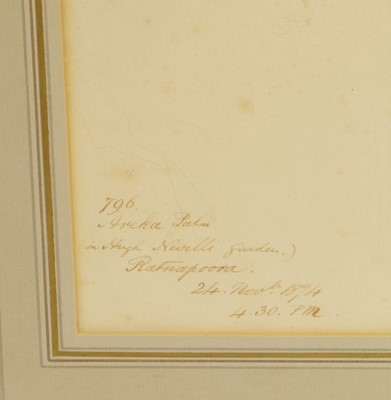 Lot 102 - Edward Lear (British, 1812-1888)