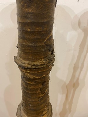 Lot 402 - Peter Beard (b.1951)
