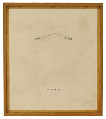Lot 355 - Hélène Binet (Swiss-French, b.1959)