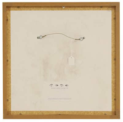 Lot 354 - Hélène Binet (Swiss-French, b.1959)