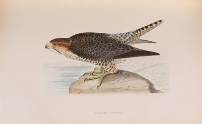 Lot 200 - BREE, Charles Robert: A History of the Birds of Europe not Observed in the British Isles