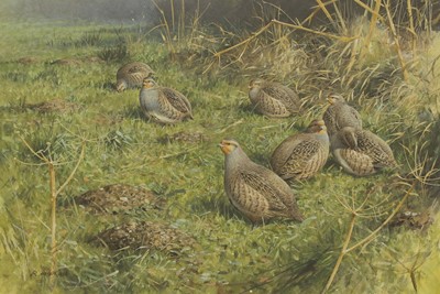 Lot 390 - Rodger McPhail (British, b.1953)