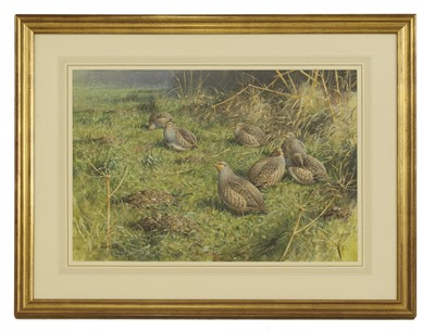 Lot 390 - Rodger McPhail (British, b.1953)