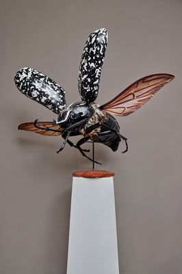 Lot 161 - A large anatomical model of a cockchafer (Melolontha vulgaris)